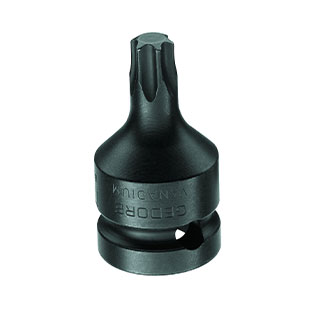 Male Torx Driver 1-2 Square Drive