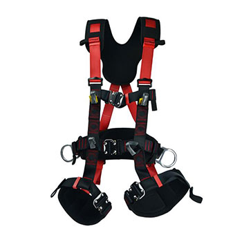 Five Point Harness